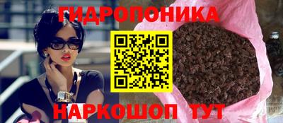 a pvp Свободный